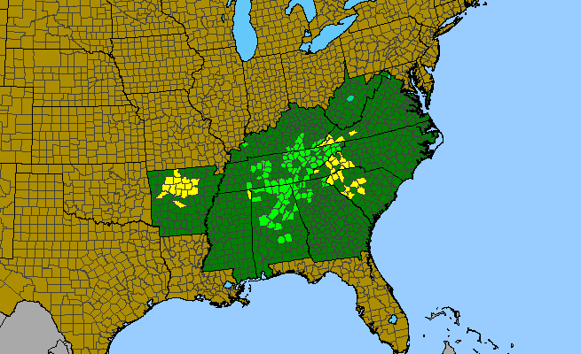 The range of Philadelphus hirsutus